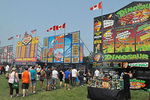 ribfest vendors 