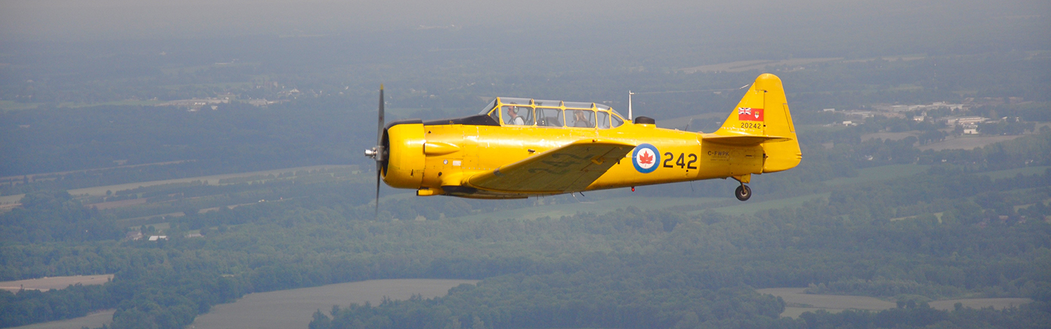 Harvard in flight taken from another aircraft