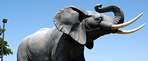 jumbo elephant statue in st thomas ontario